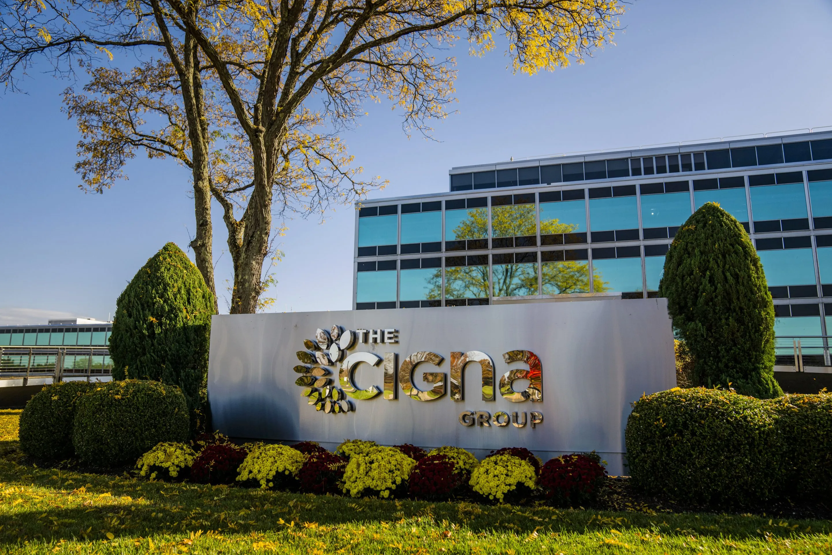 Cigna Powering A Healthier World Through Innovation Access And Care 